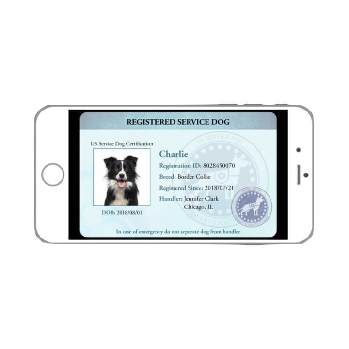 How Do You Get A Service Dog Certificate