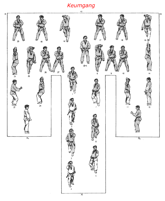 Taekwondo Black Belt Forms