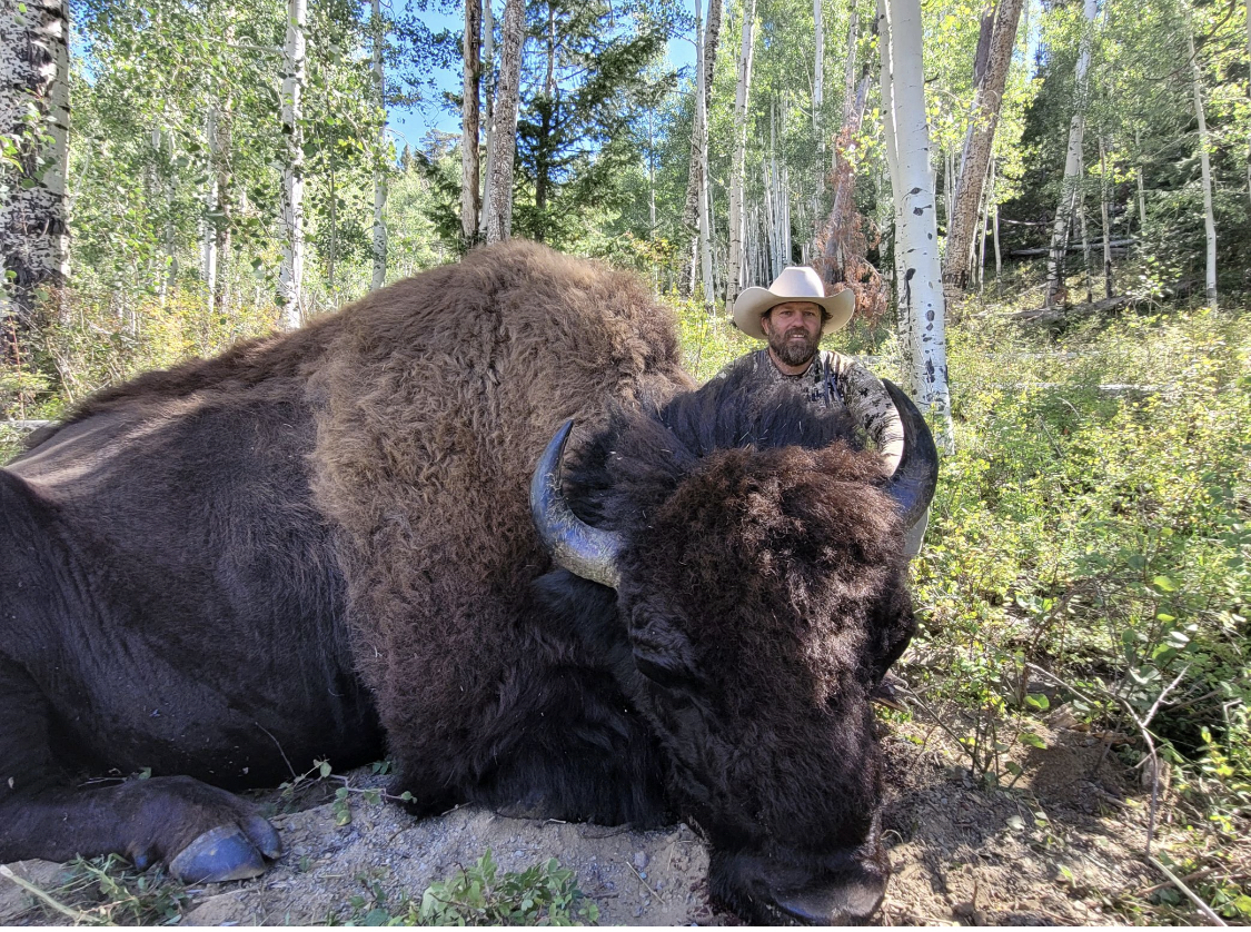 Bison Utah Big Game Outfitters