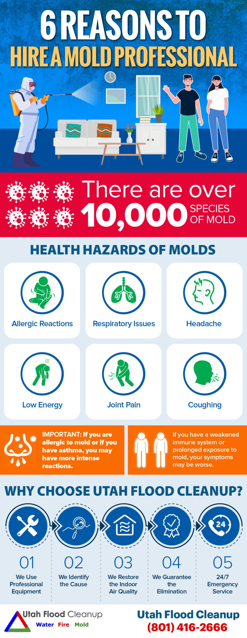 Residential Mold Inspection & Testing Services Utah Mold Remediation