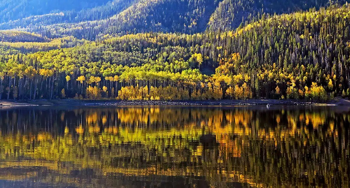 Top 10 Utah Fall Colors Locations Utah Guide