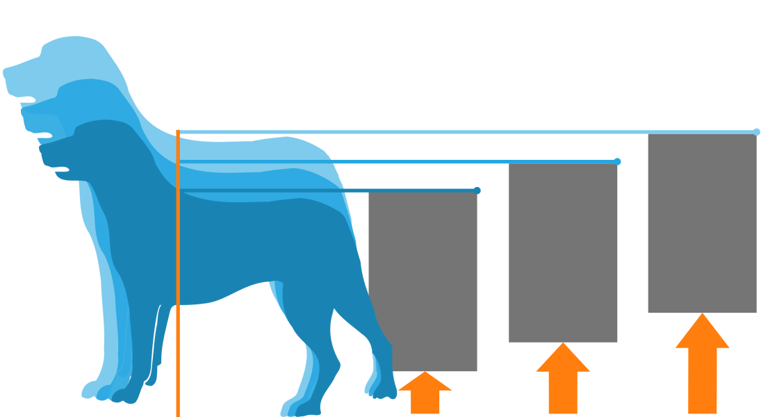 install dog door utah