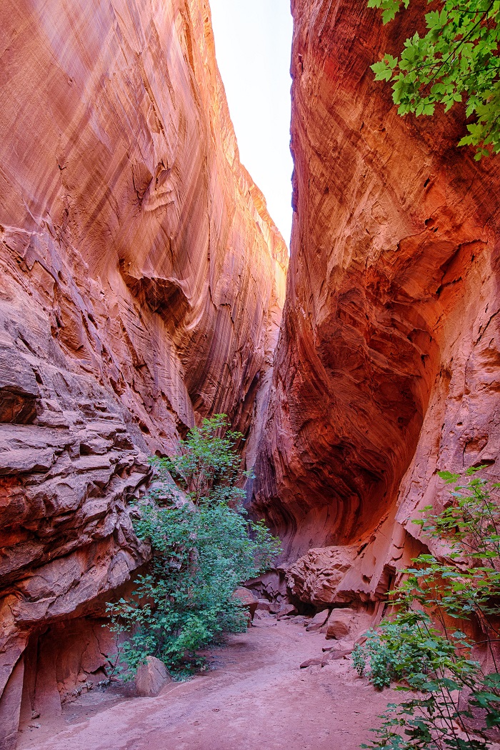 Drive Down the Stairs Grand StaircaseEscalante by Foot, Raft and