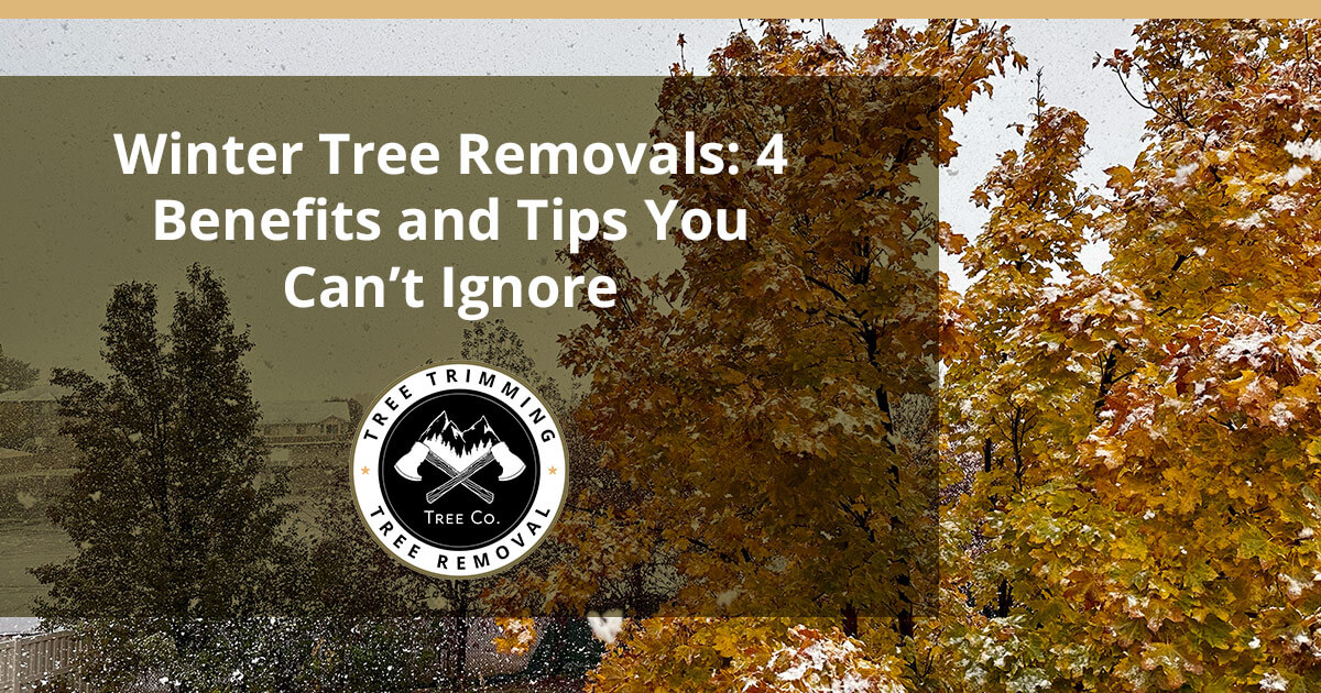 4 Benefits and Tips Regarding Winter Tree Removals Utah Tree