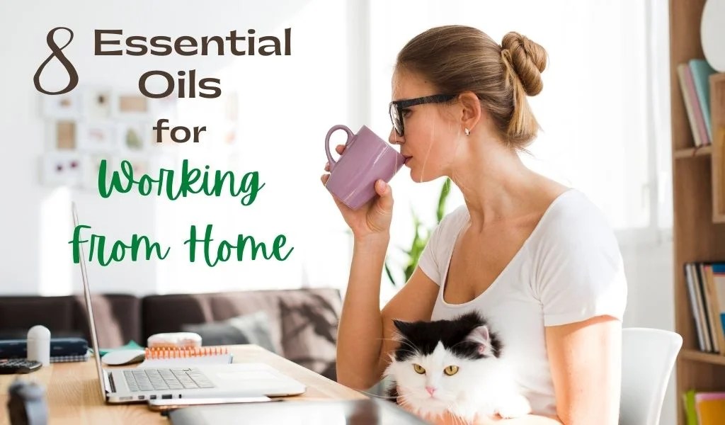 8 Essential Oils To Diffuse While Working From Home Utama Spice