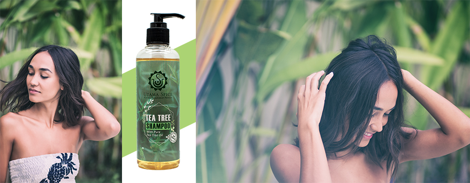 The Hairy Truth About Tea Tree Essential Oil Utama Spice