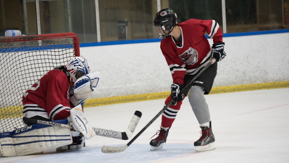 San Diego Adult Ice Hockey Leagues to utcice