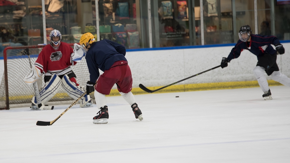 San Diego Adult Ice Hockey Leagues to utcice