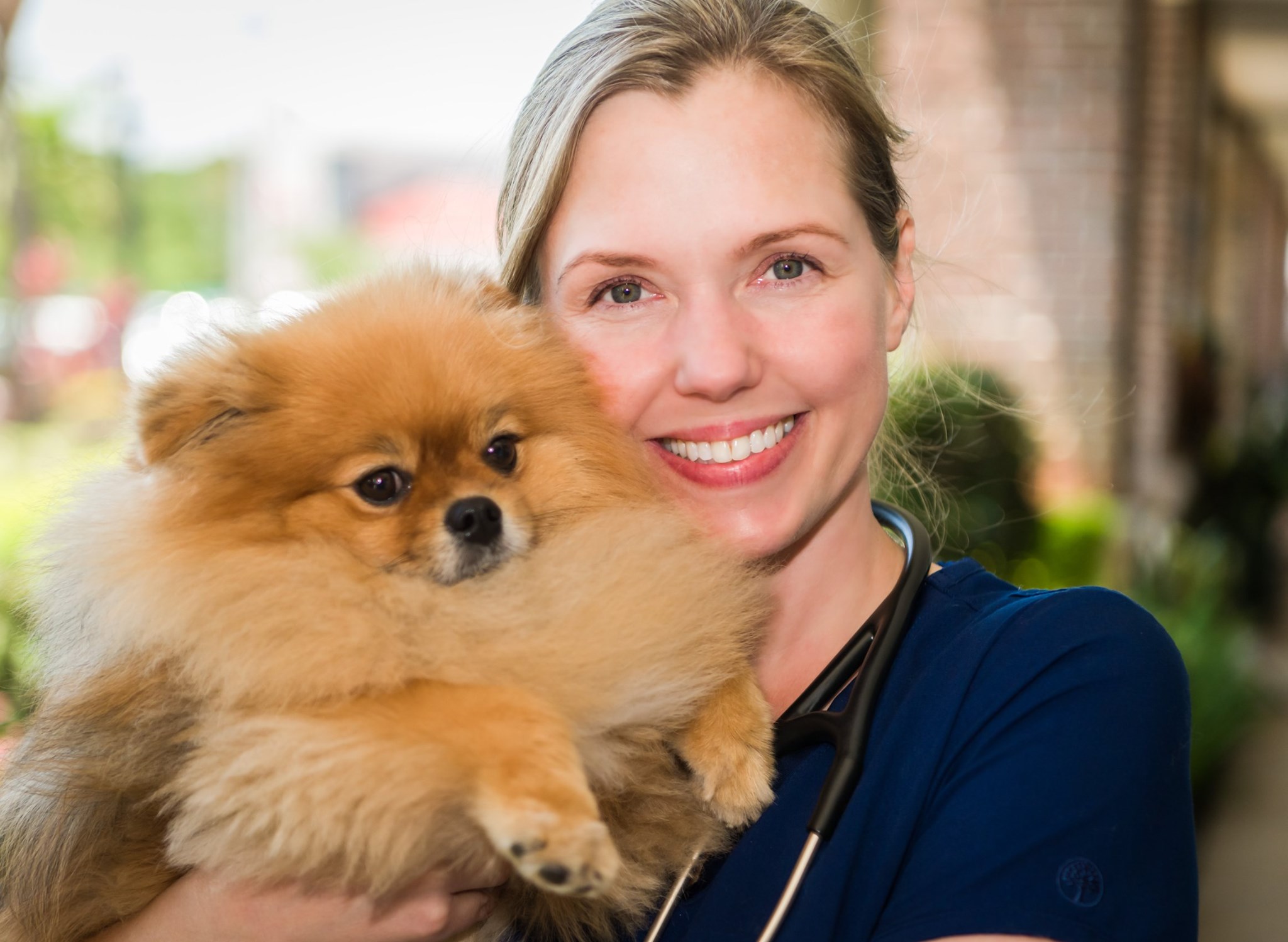 Animal E.R. University Town Center Sarasota