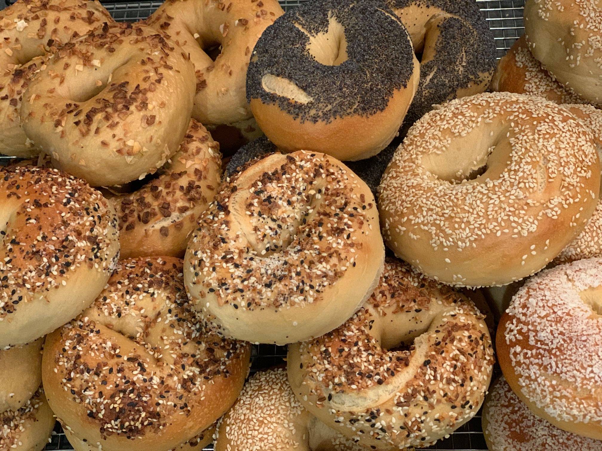 Jersey Girl Bagels University Town Center Sarasota