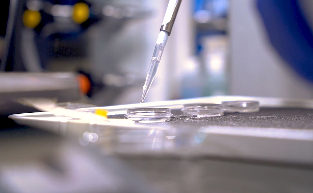 Bioengineering Symposium Highlights Advances, Collaborations UTDesign