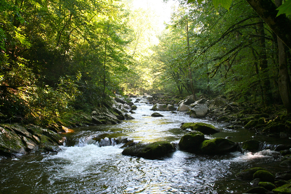 Natural Resources Agriculture and Natural Resources