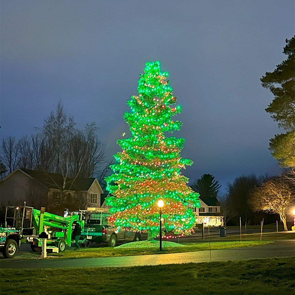 Christmas Lighting Services in Utica NY Utica Lights