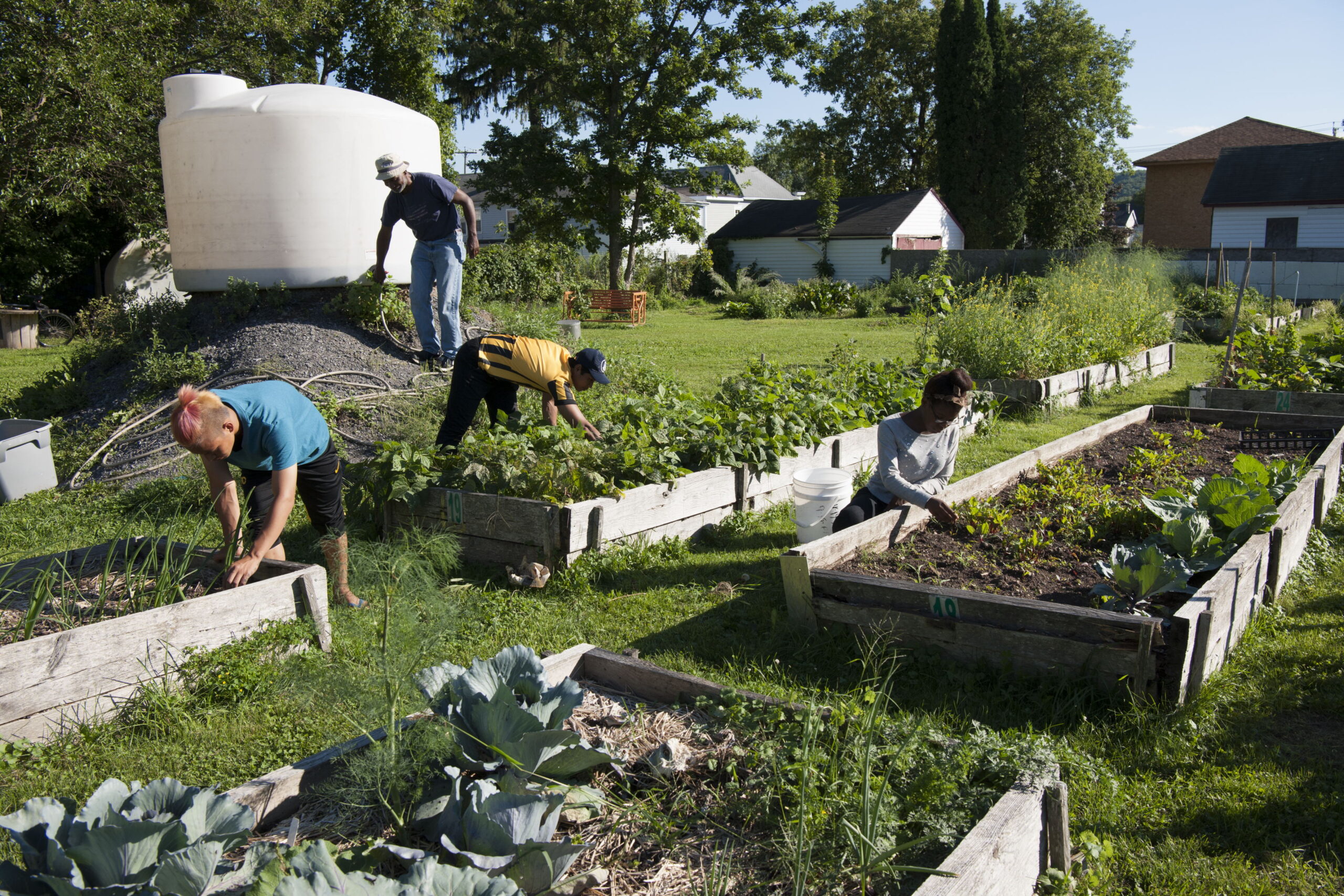 Save the Linwood Place Community Garden