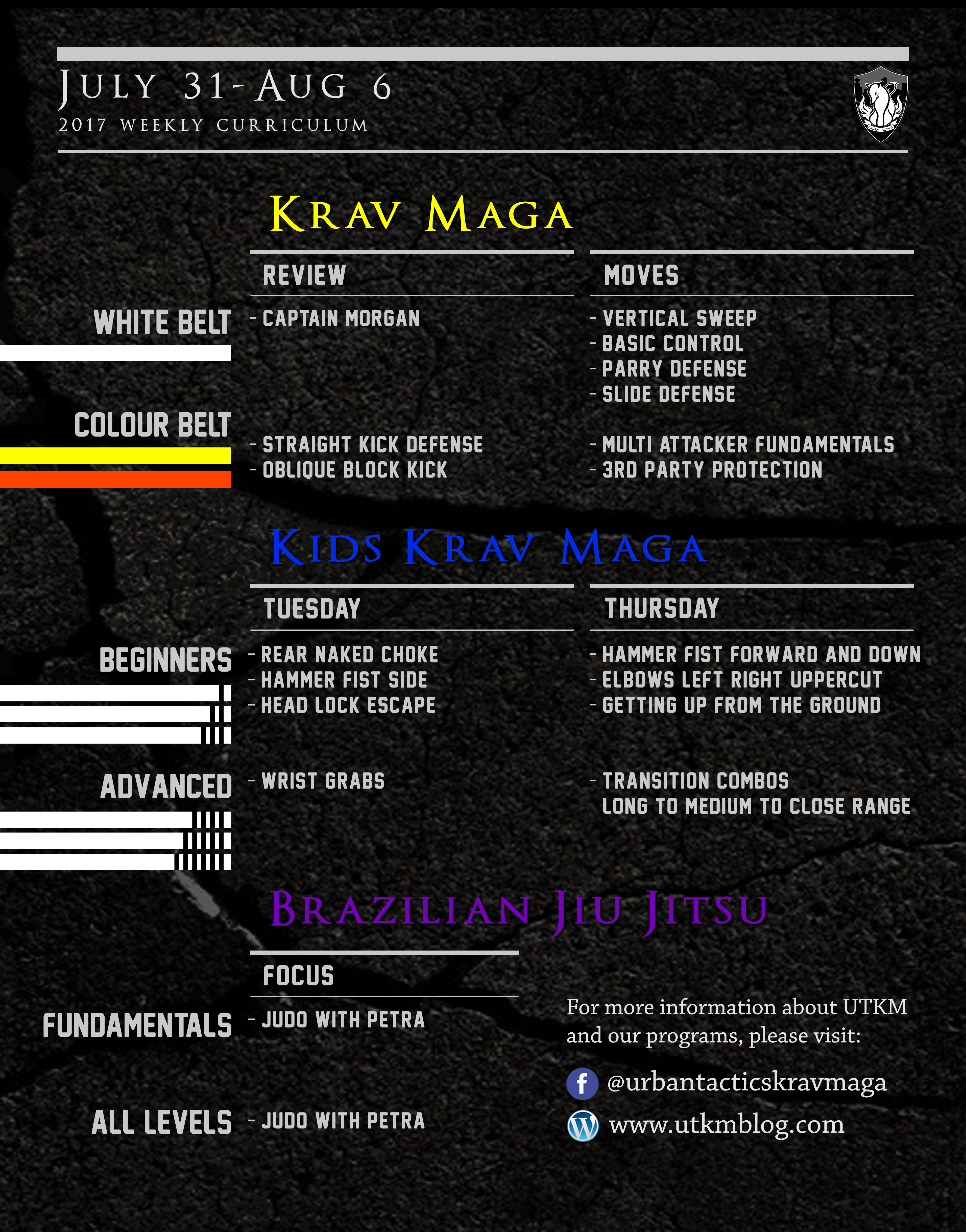 Krav Maga Grading System