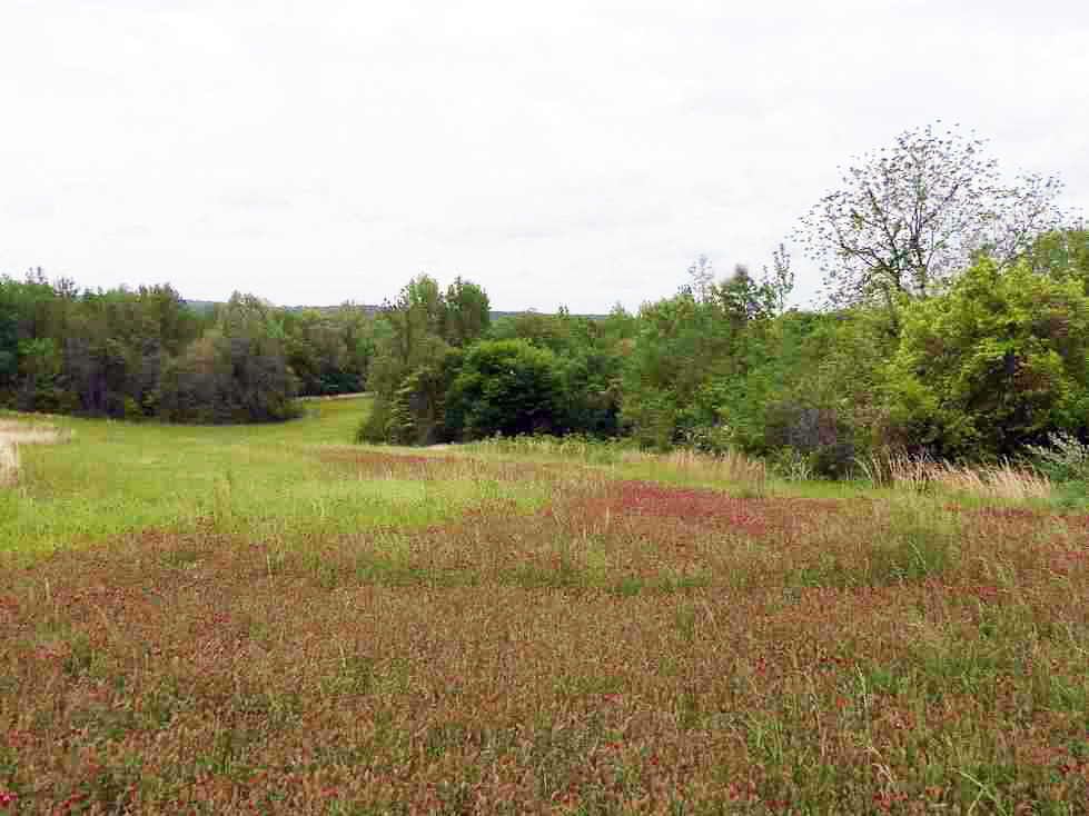 Fitch Farms Galena Plantation Marshall County, MS Utley Properties