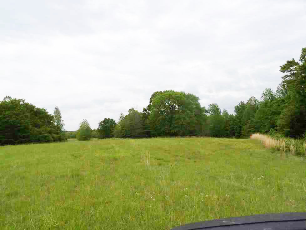 Fitch Farms Galena Plantation Marshall County, MS Utley Properties