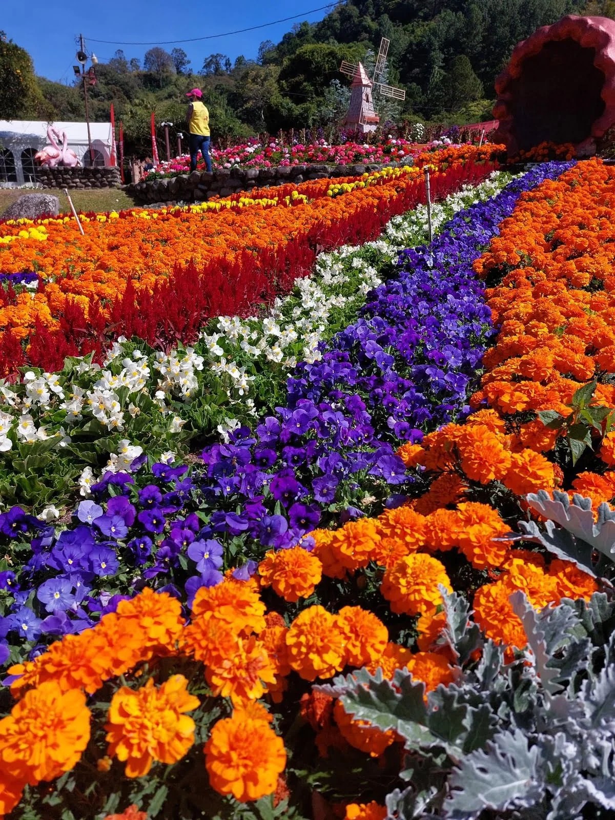 blogs display Utopia Realty