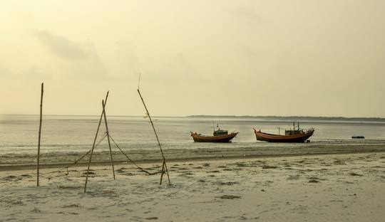 Bakkhali | বকখালির জঙ্গলে মিলল নিখোঁজ বধূর পচাগলা দেহ, ব্ল্যাকমেলের অভিযোগে প্রেমিককে গ্রেপ্তার পুলিশের