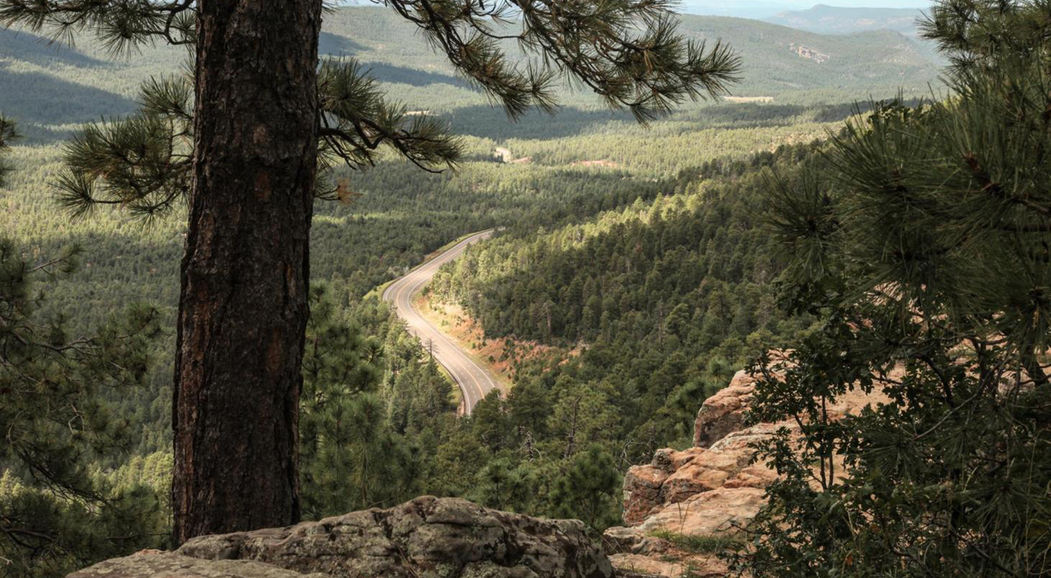 Payson, AZ Drug Treatment Programs Young AZ Tonto Basin Arizona