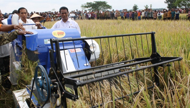 Peneliti Salah Urus Pertanian Sebabkan Daya Beli Petani Lemah