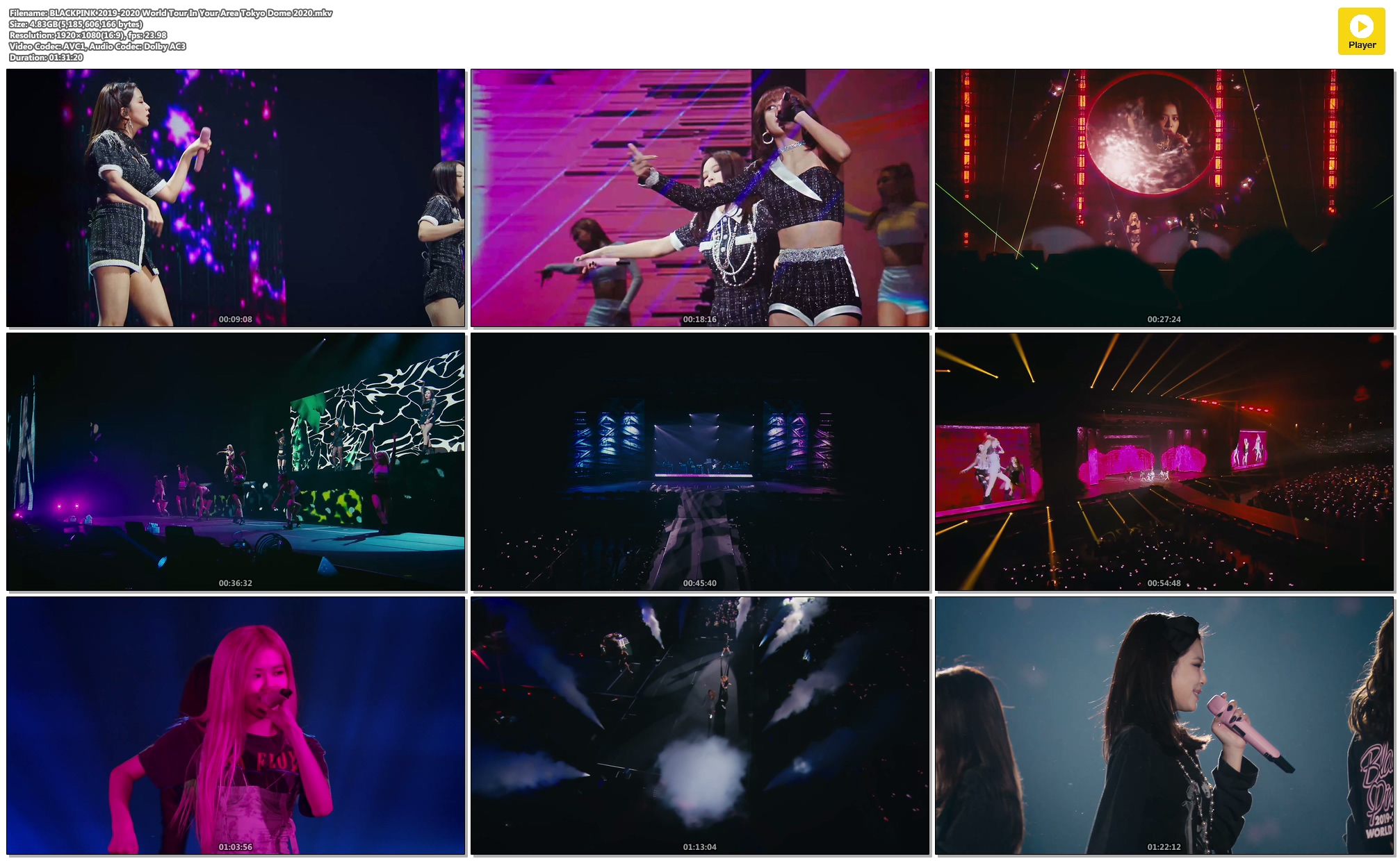 BDRiP BLACKPINK 20192020 World Tour In Your Area Tokyo Dome 2020