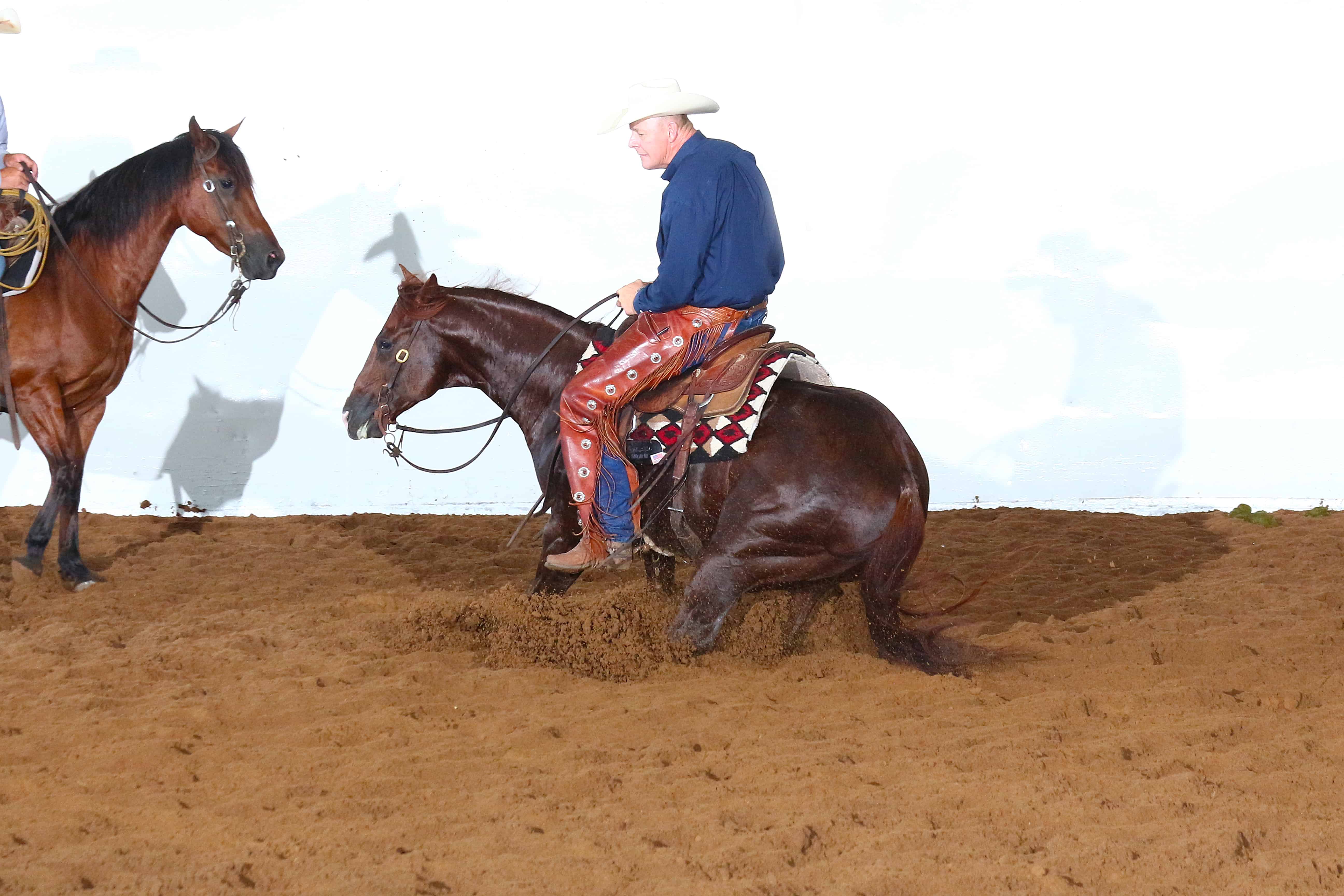 MCHA Show Ardmore January 2017 Roeschmann Cutting Horses