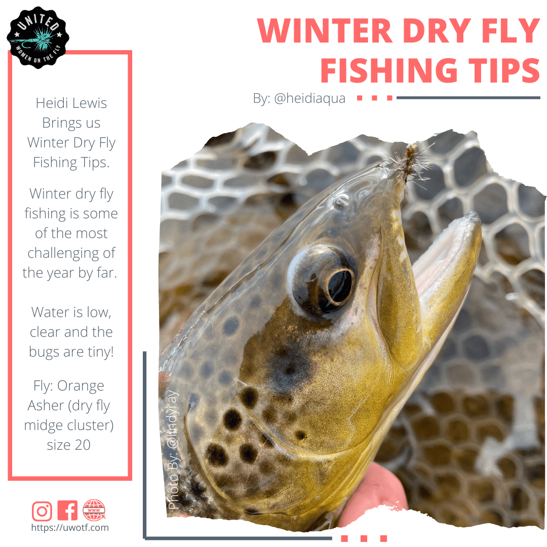 Winter Dry Fly Fishing Tips United Women on the Fly