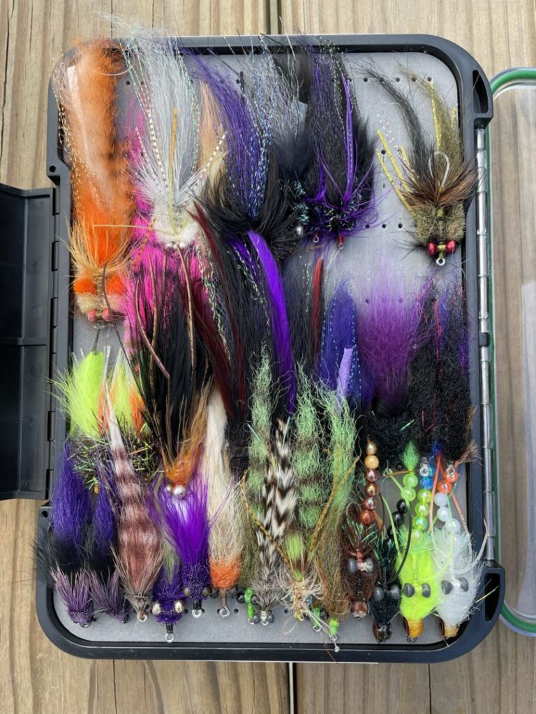 Salt Water Fly Box Organization United Women on the Fly