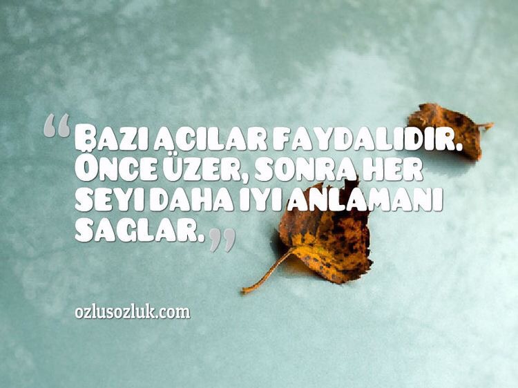 Bazı acılarda faydalıdır! Edebiyat İkliminde Aşk Sözleri