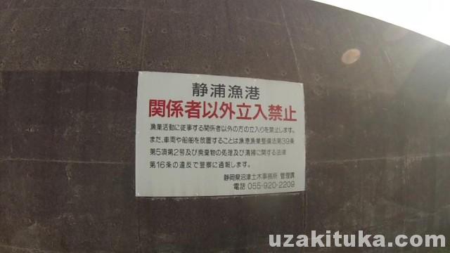 静浦漁港の釣り場「釣り人立入禁止」静岡県3月 釣りと車中泊旅行
