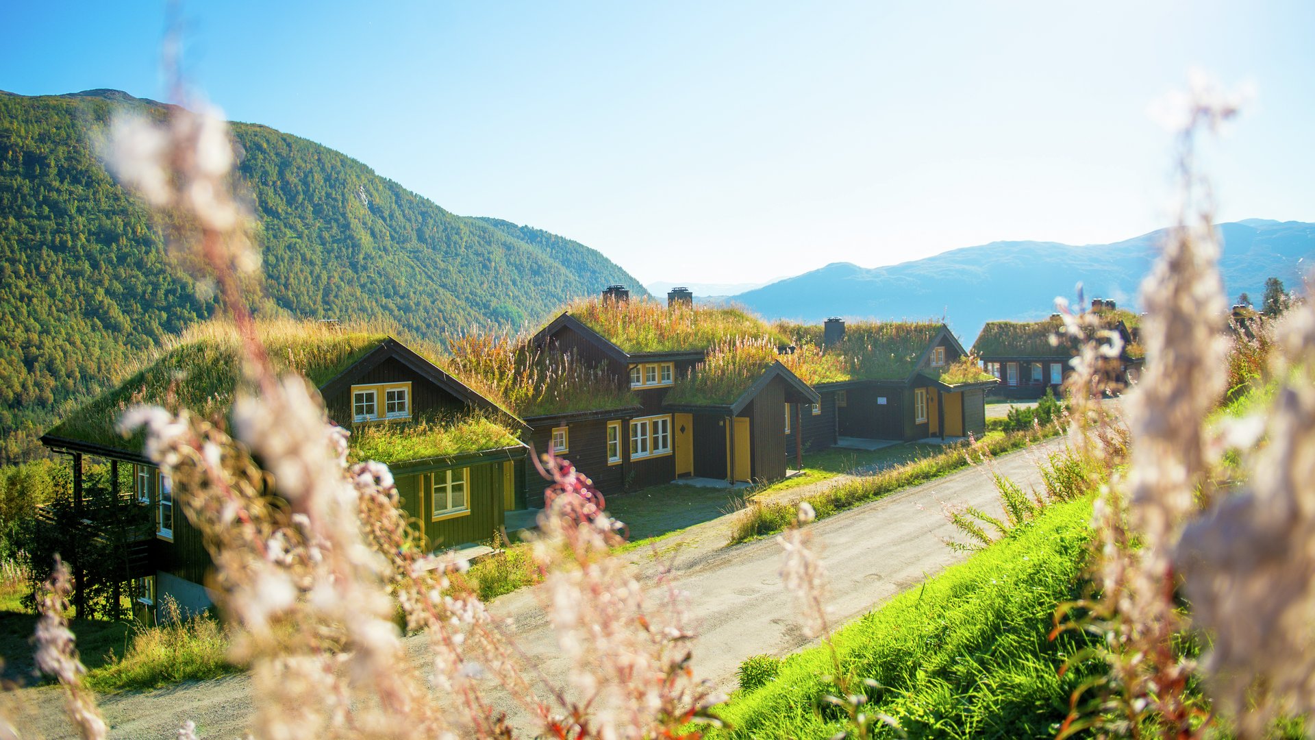 Cabins & Apartments in Voss Myrkdalen
