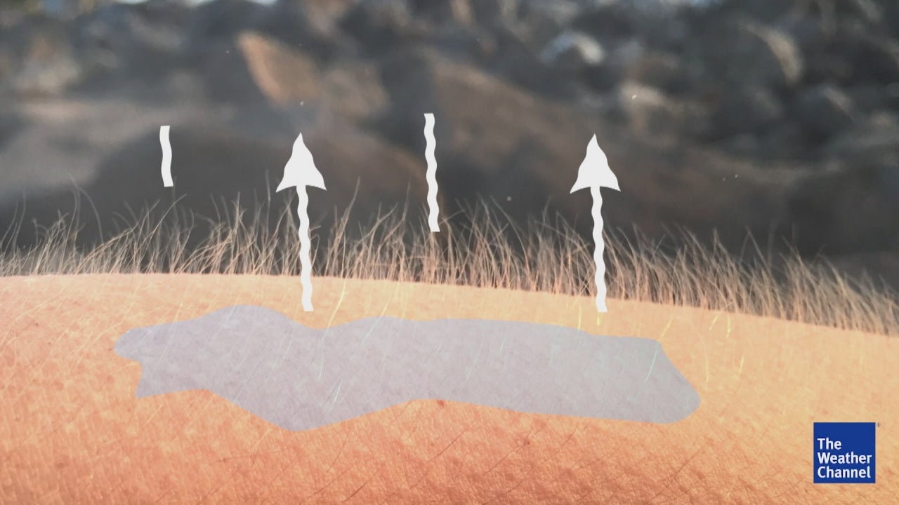 What Exactly Is Wind Chill? The Weather Channel