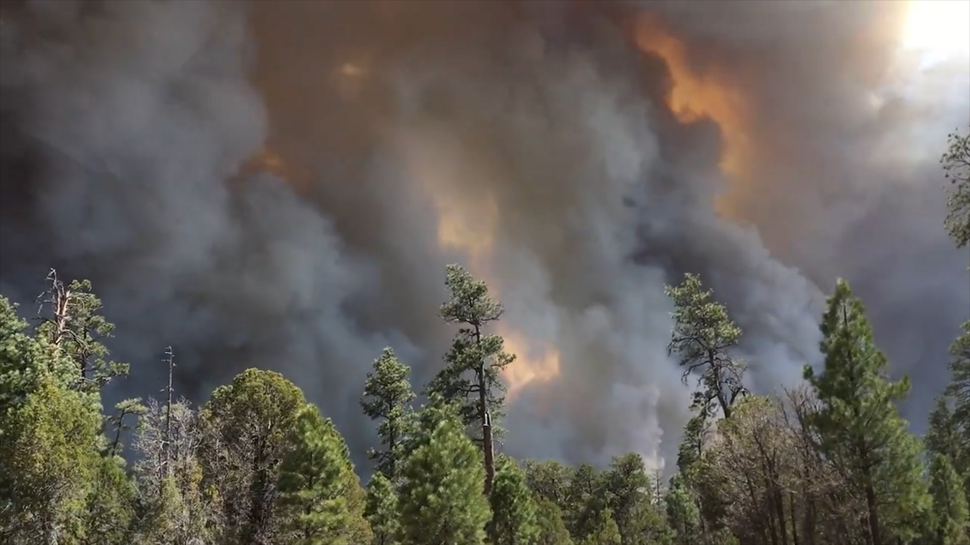 State of Emergency Declared in Northern Arizona Wildfires The Weather