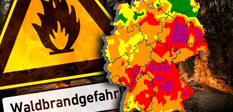 Hier gilt die höchste WaldbrandGefahrenstufe Videos von The Weather