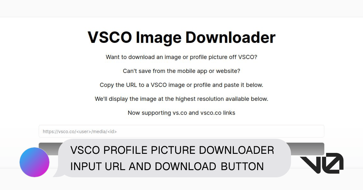 VSCO PROFILE PICTURE DOWNLOADER INPUT URL AND DOWNLOAD BUTTON A(01)