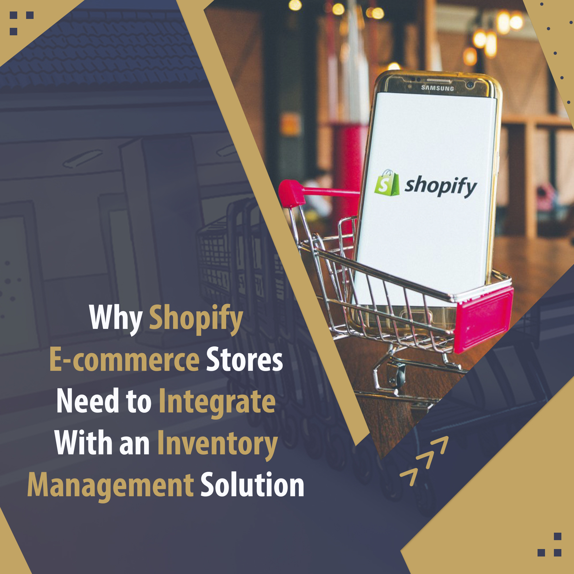 ERP Gold as a Shopify Inventory management Software