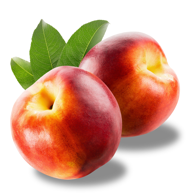 Lapierre Our Organically Grown Nectarines