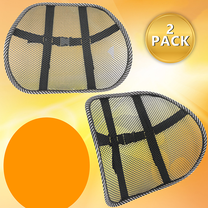 Elanz Mesh Lumbar Back Support Santa Fe, NM Chiropractor Back to