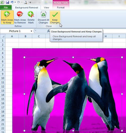 How to Remove the Background from a Picture in Excel 2010 Solve Your Tech