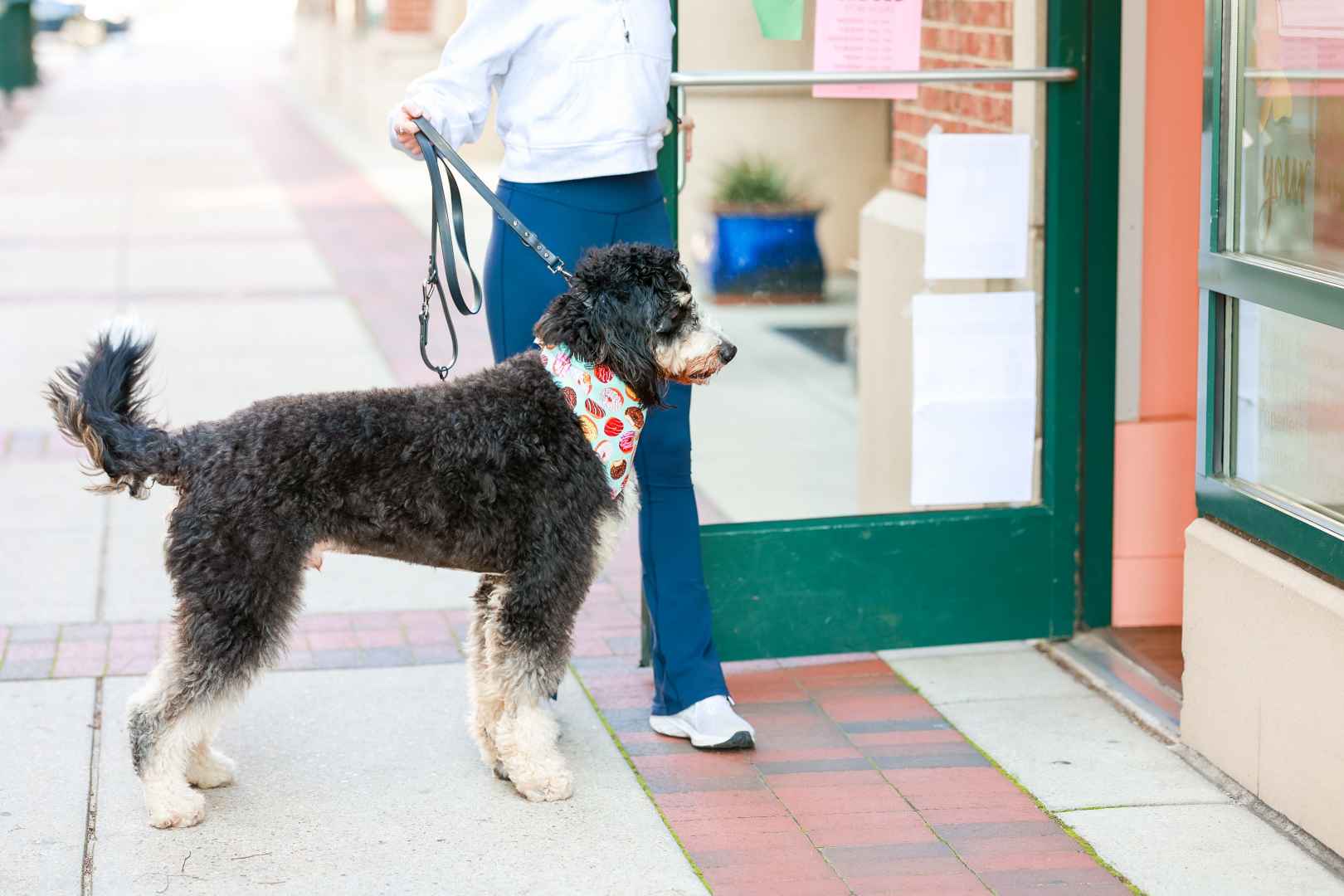 PupperFriendly Finds Town Center of Virginia Beach