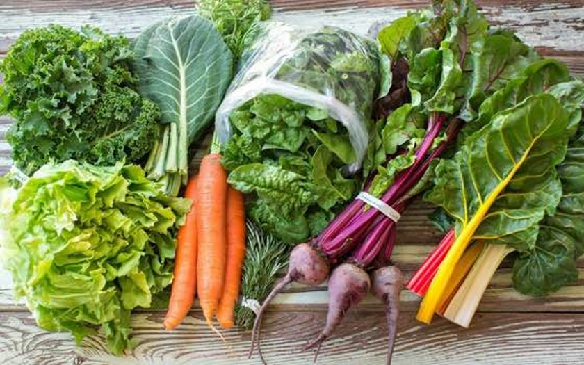 Real Food Campaign Grower Partner Program Virginia Association for