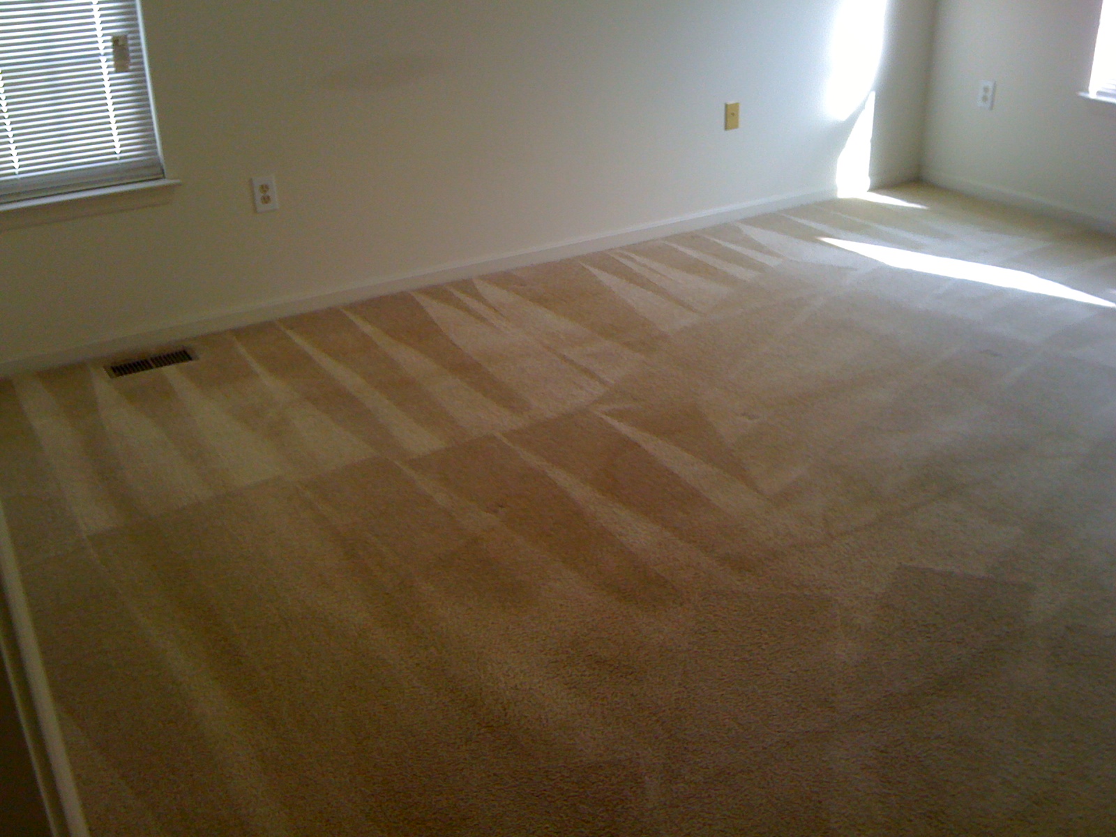 Carpet Cleaning ⋆ VA Carpet Cleaning