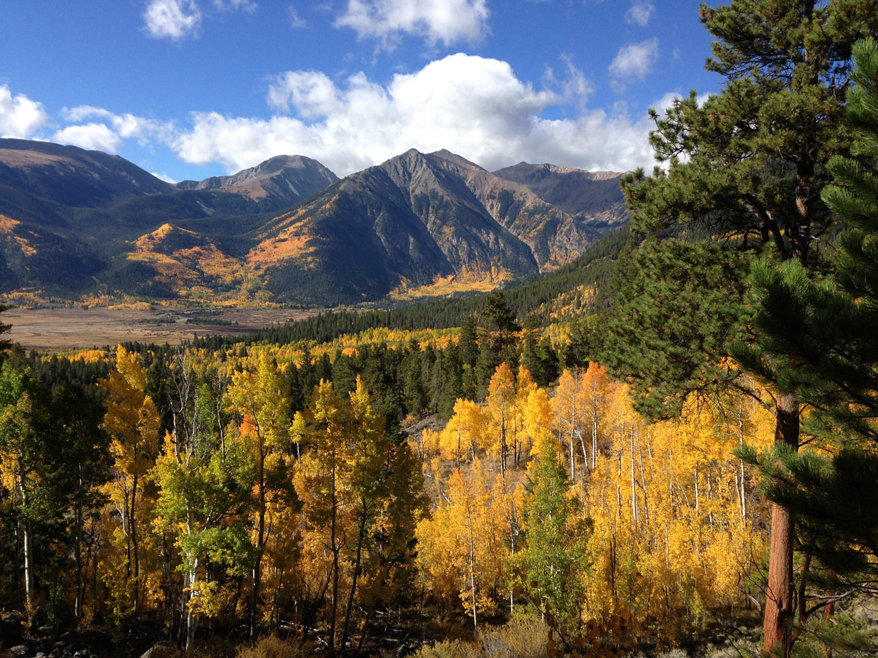 Home Eclipse Property Management