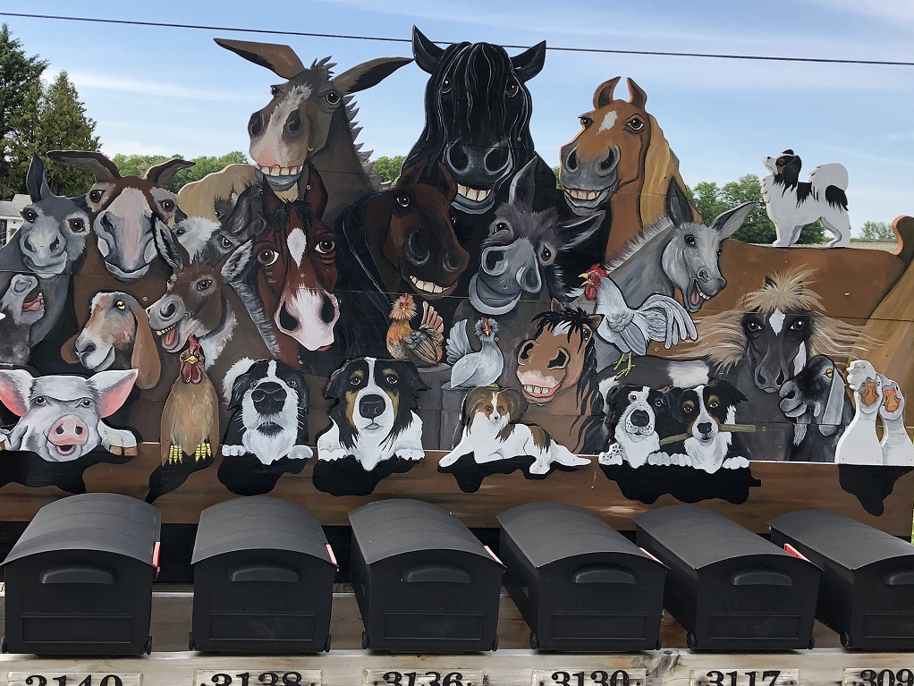 Tunnel Of Trees Michigan Fall 2023