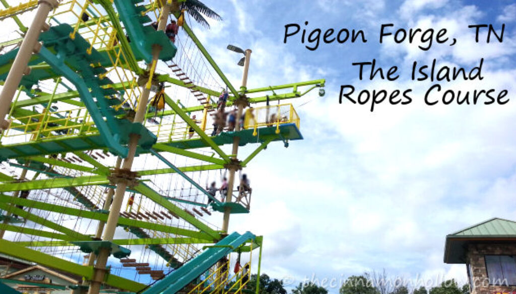 The Island Ropes Course Pigeon