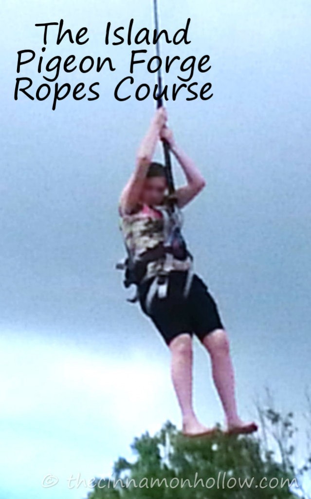 The Island Ropes Course Pigeon