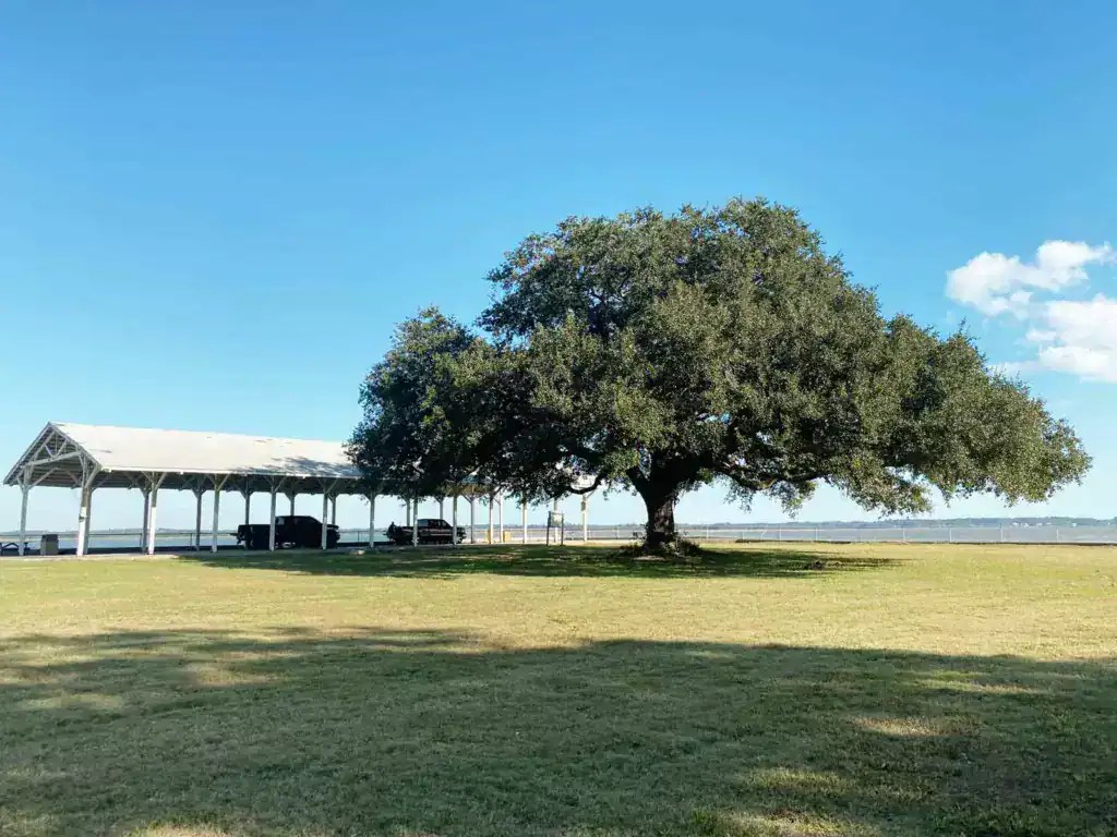 Things To Do in Parris Island From Parris Island, With Love