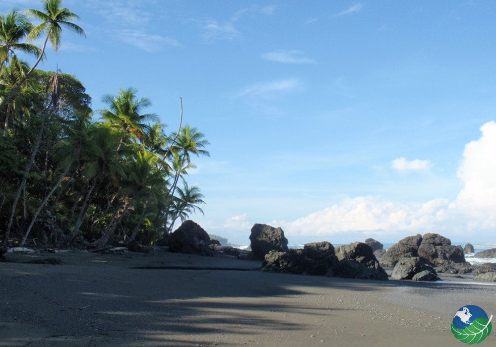 Pavones Costa Rica A top destination for surfing in Costa Rica!