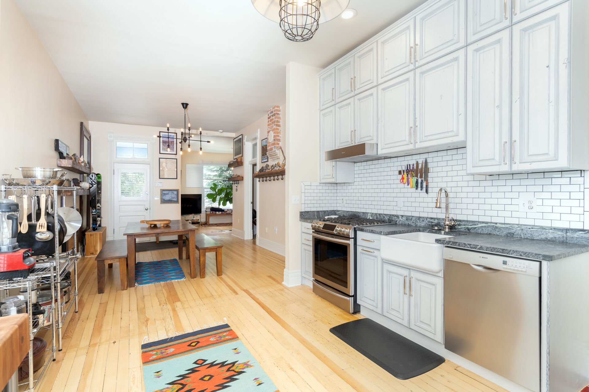 Book Our Pet Friendly Airbnbs in Telluride in Telluride